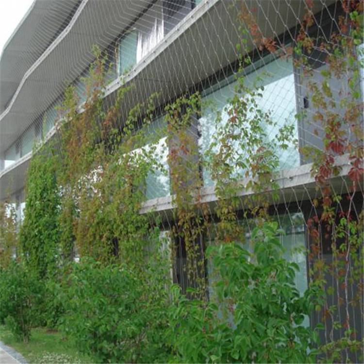 不銹鋼綠植攀爬繩網
